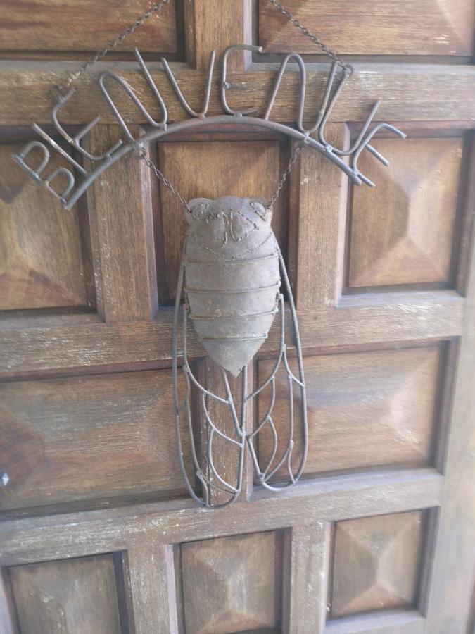 Chambre D'Hote Saint Remy Aramon Zewnętrze zdjęcie
